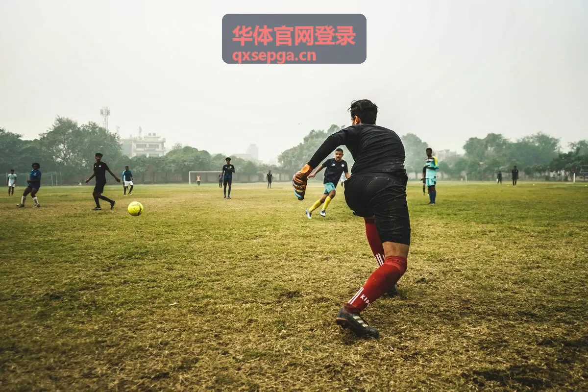 华体官网登录页面入口识别示意